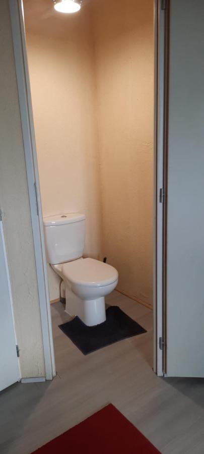 Ravissant T2, Cl 3 Etoiles, 3 Pers Et 1 Enf , 3 Lits, Parking Et Patio Saint-Sever (Landes) Exterior foto